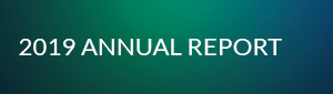 2019 Annual Report Button