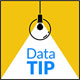 Data Tips